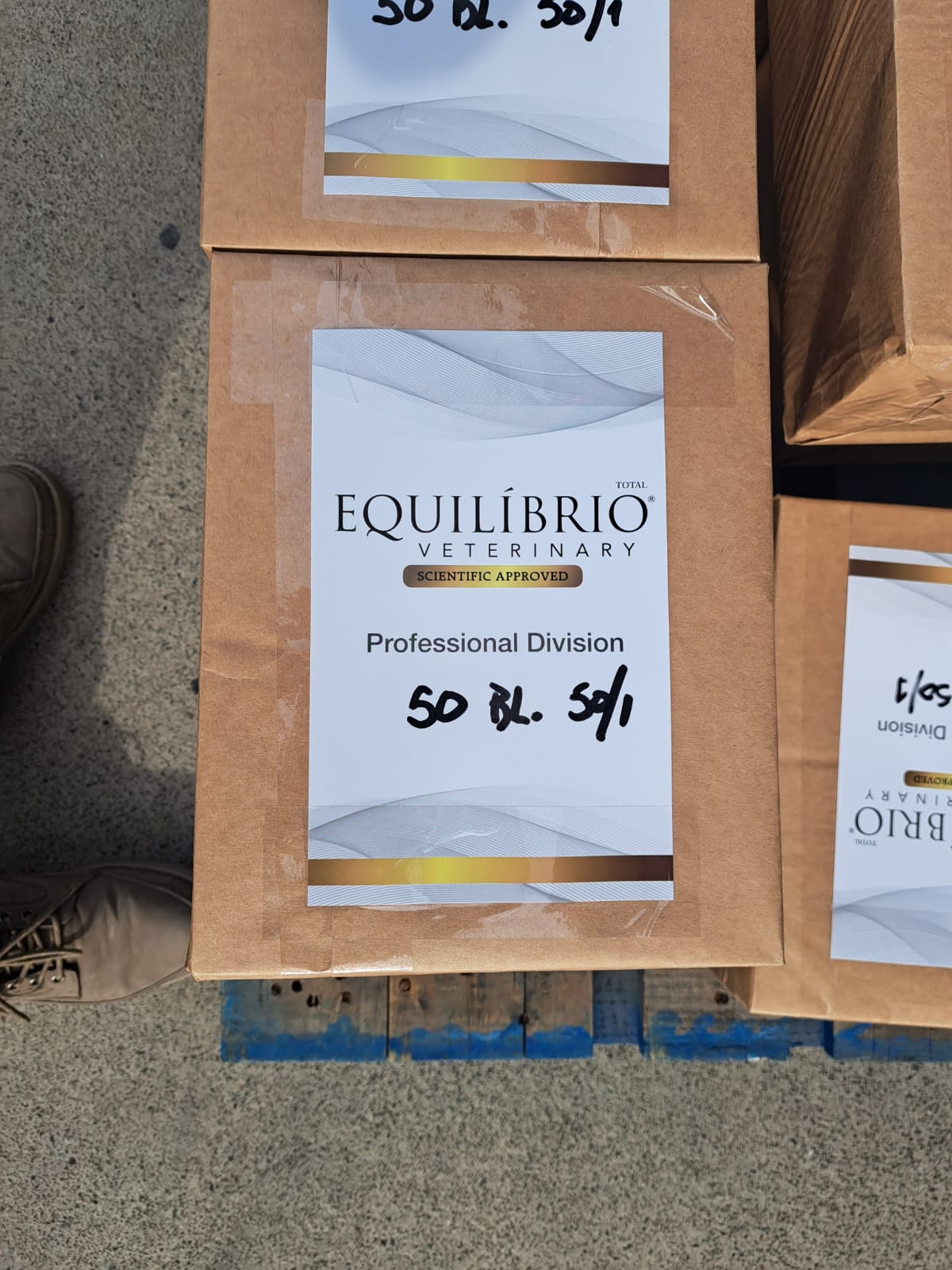 Etiquetas