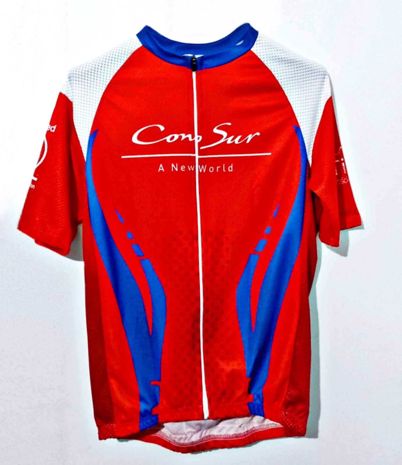 Polos y poleras 2