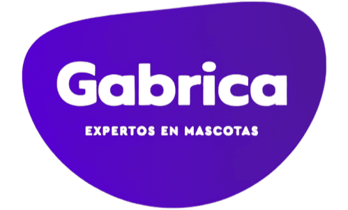 Cliente 13